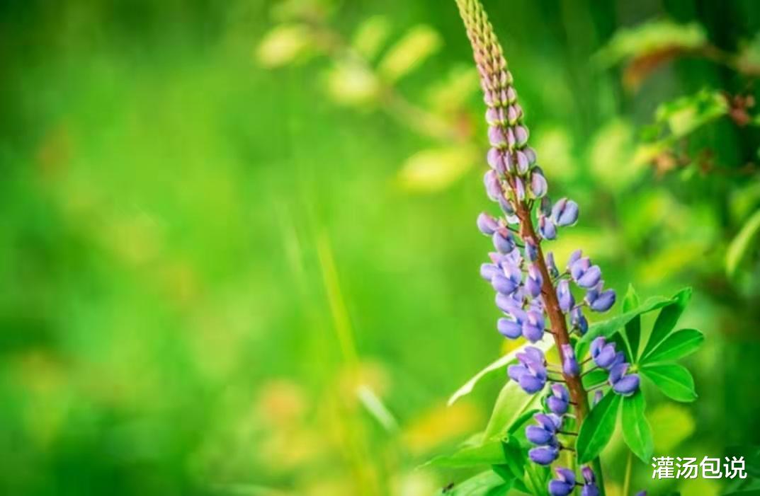 美丽|分享我的25个日常小习惯，一起进步