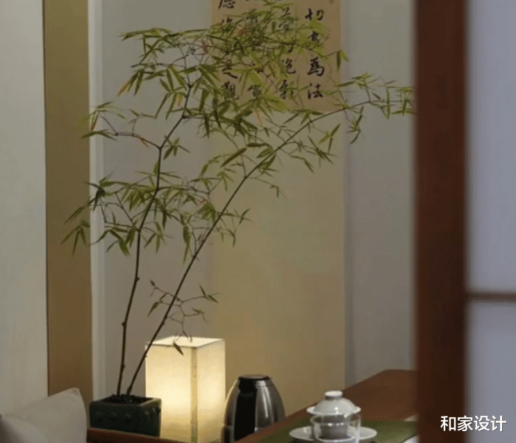不同的风格绿植怎么选?绿植是客厅的点睛之笔,但是千万不要乱买