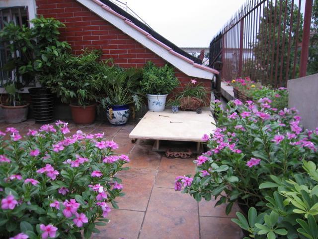 露台装成这样,一看就是个土豪,这样的露台谁不想要一个呢?