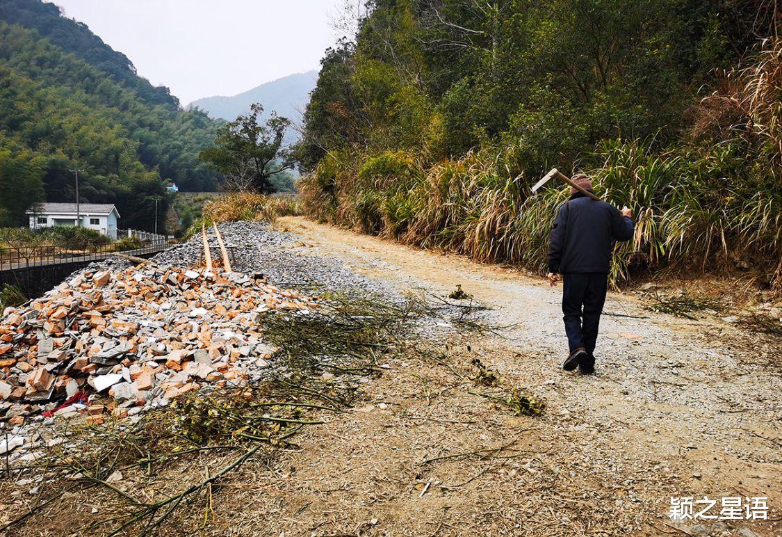 原始密林景观,网友说比一线天更壮观,村民带路一探究竟