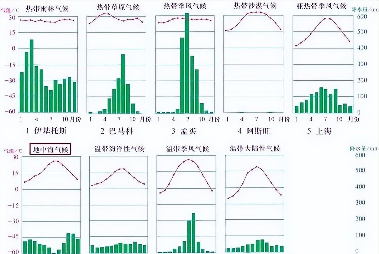 从西亚到中国, 从山羊草到栽培小麦, 史前一万年发生了怎样的演化
