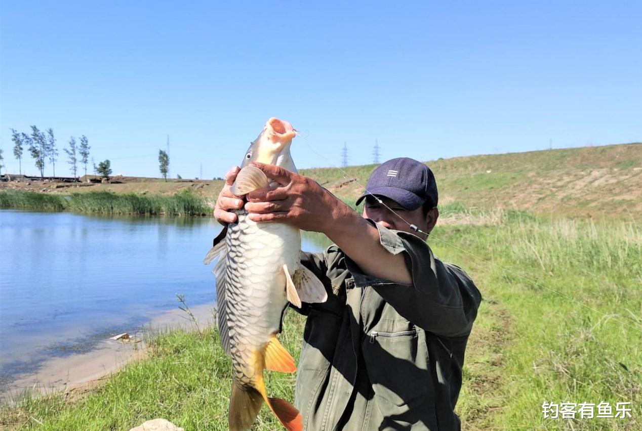 桐乡|秋天钓鲤鱼,先不要急着下竿,找好钓位、打好窝才是关键