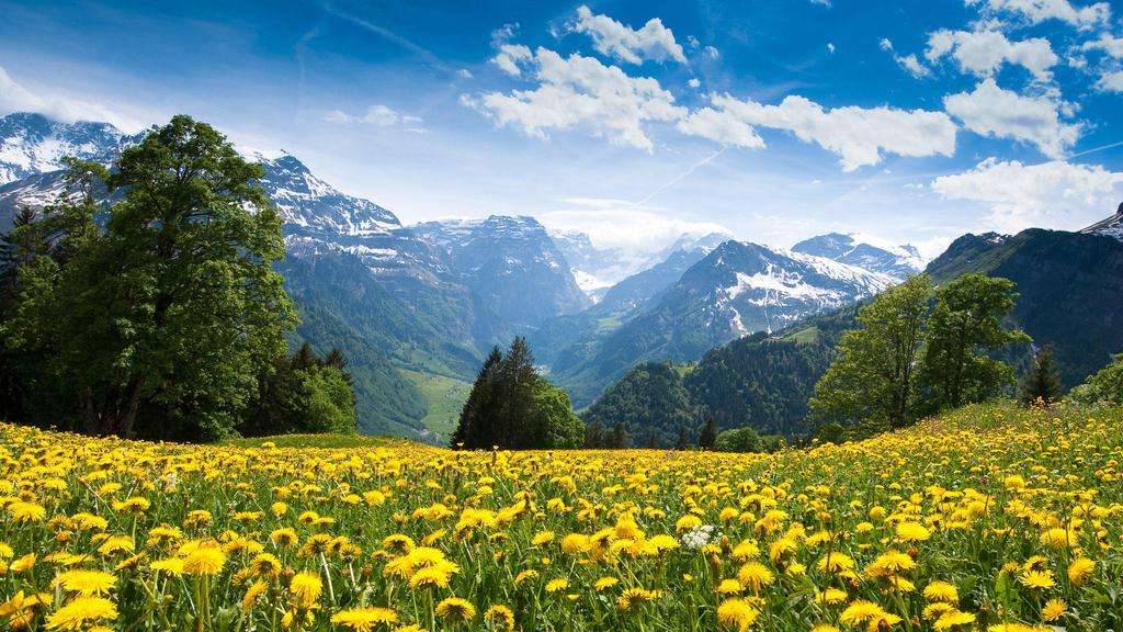 求职|出门找工作有经验多么重要