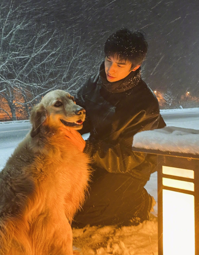 |高大帅气宋威龙,21岁名列《2020福布斯中国名人榜》第45位,厉害