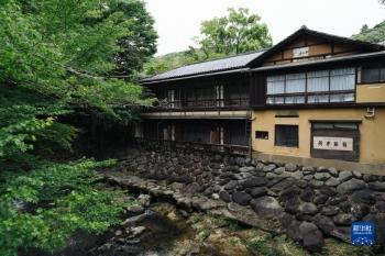 旅行团|伊豆半岛掠影「图」