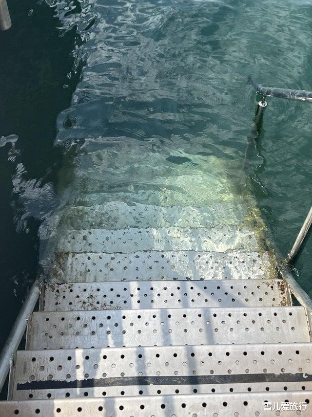 “深海”吓人的38张照片,那里的巨蟒太大了
