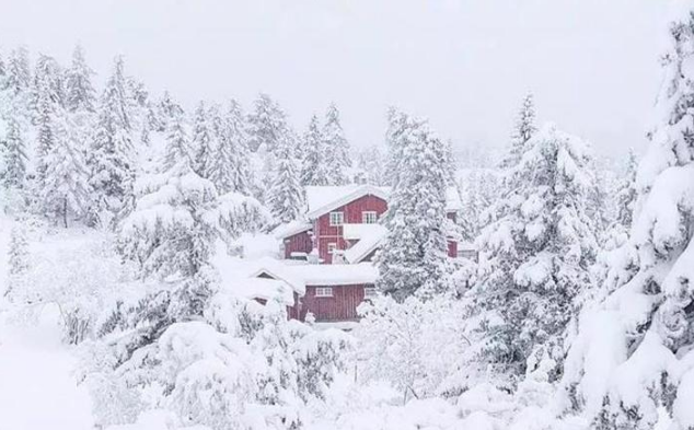拍雪摄影技巧+攻略:如何展现冬季的冰清玉洁。