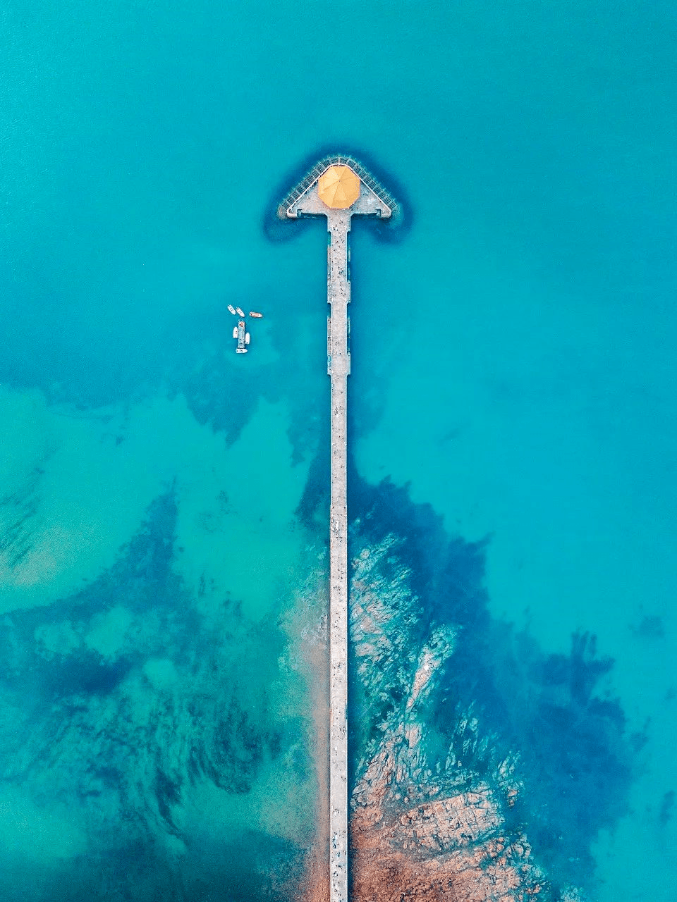 |这座宜居Top1的海滨老城,一到夏天,就美得让人欲罢不能