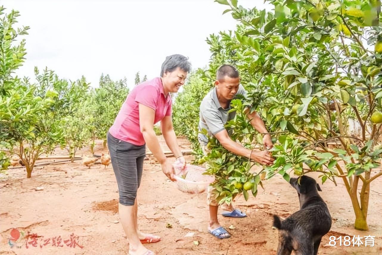 全家发达! 全红婵夺冠1年母亲化妆光鲜亮丽, 父亲种水果大哥带货脱销