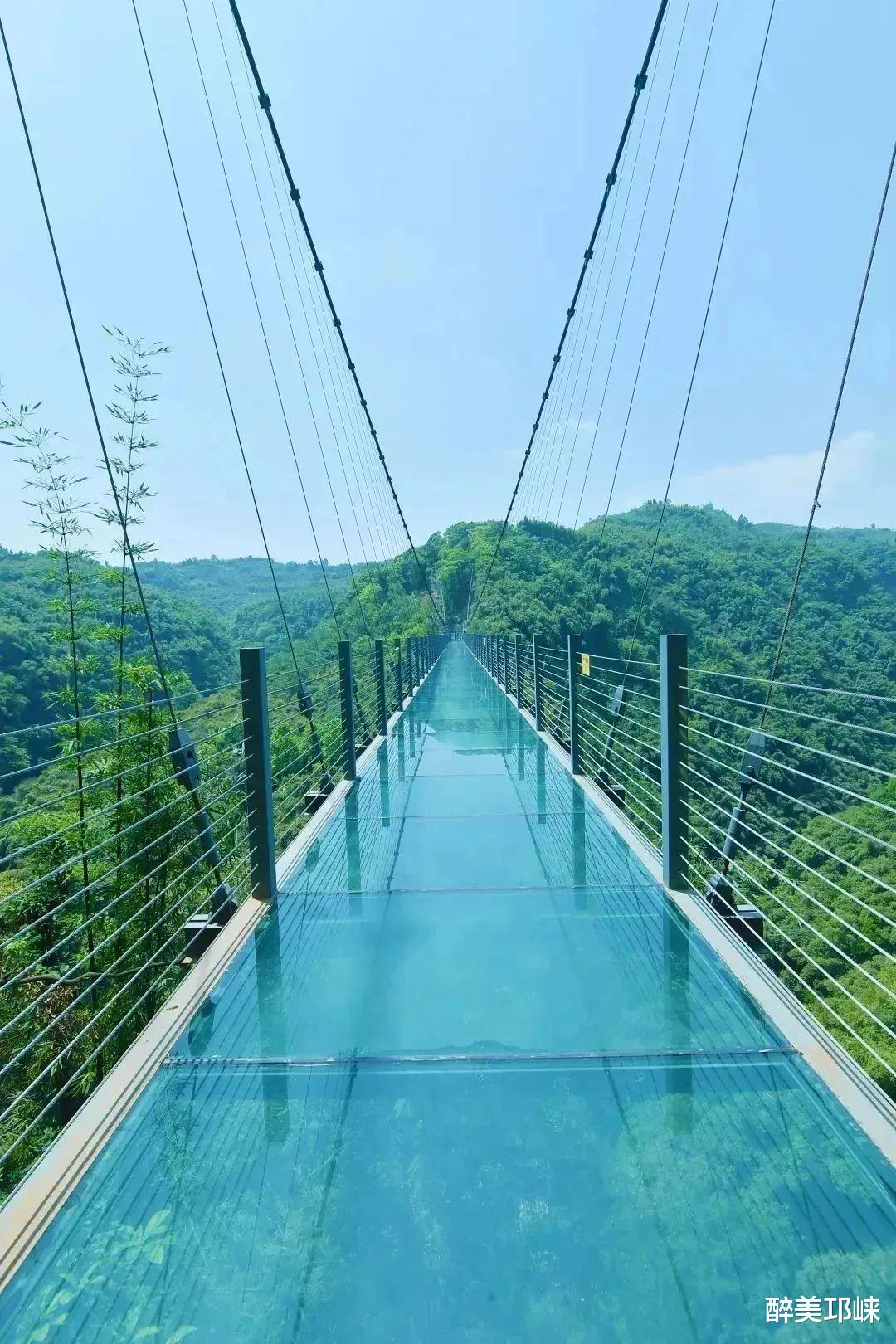 峨眉|莫向临邛去丨在户外天堂川西竹海,这些数字代表什么