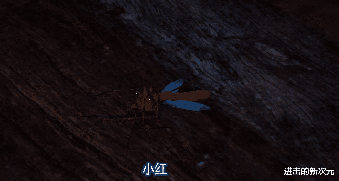 黑胡子|不良人李克用化身心魔再登场，阿姐杀弟的真相曝光，候卿也太冤了