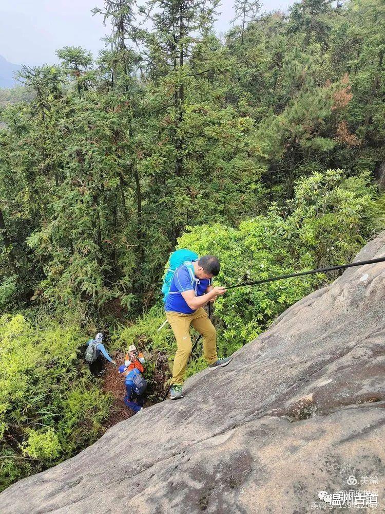 大罗山|大罗山有条“眼镜蛇”，你见过吗？