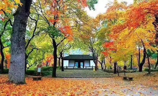 苏州|苏州天平山风景区来一次就不会再来了，因为美的印象太深刻了。