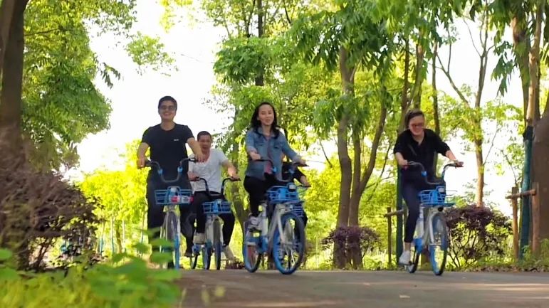 奉贤|极美奉贤·绿道 | 行走的一川烟雨