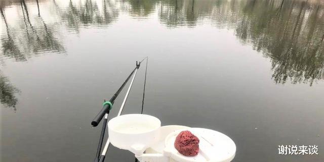 运动服|春季钓鱼用什么样的饵料比较好?早春钓鲫鱼有那些饵料适合单开?