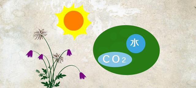 |“鱼儿露头，收竿快走”有没有科学依据？为什么？
