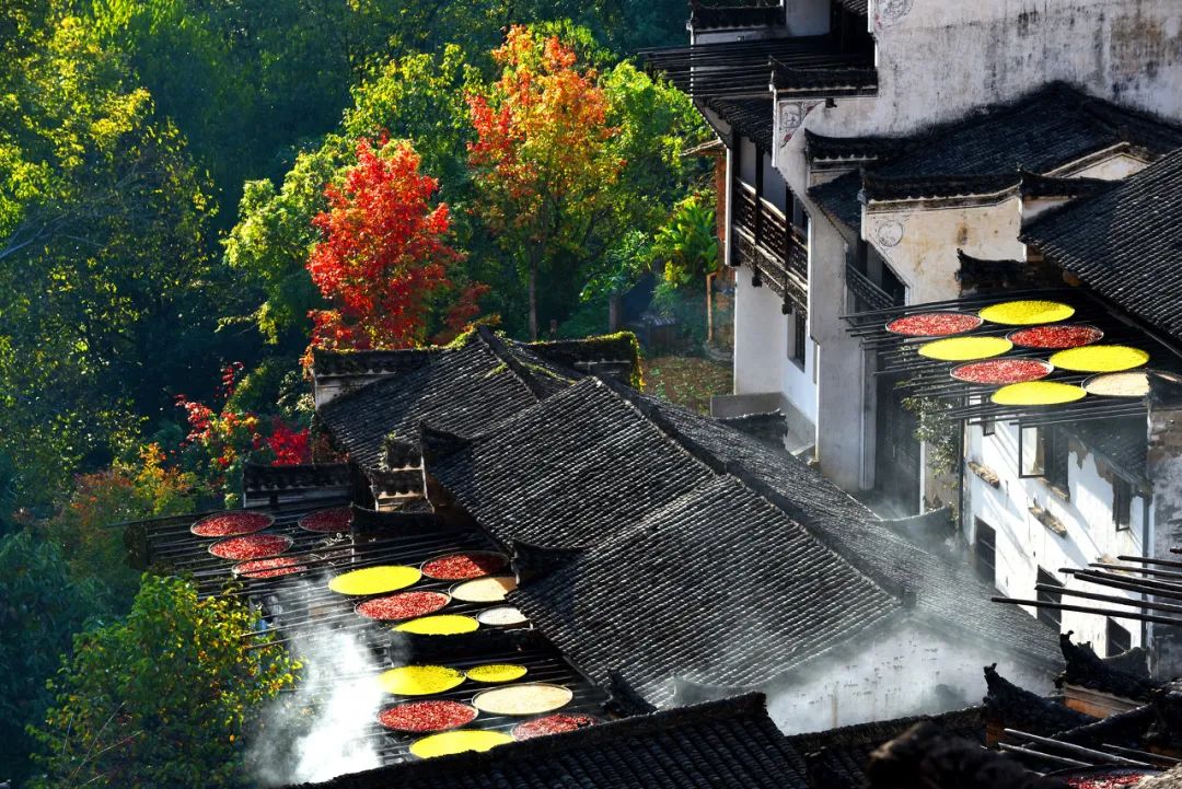 梯田|中国又一美景地刷屏外网，耗资26亿，建在悬崖上的仙侠世界，外国人：中国神仙住的地方