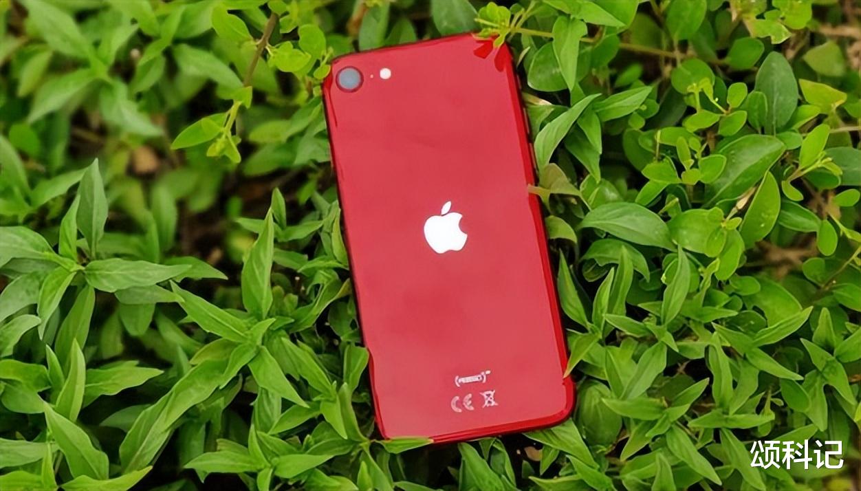 显示器|iPhone SE3降成“红米价”？果粉的春天来了。