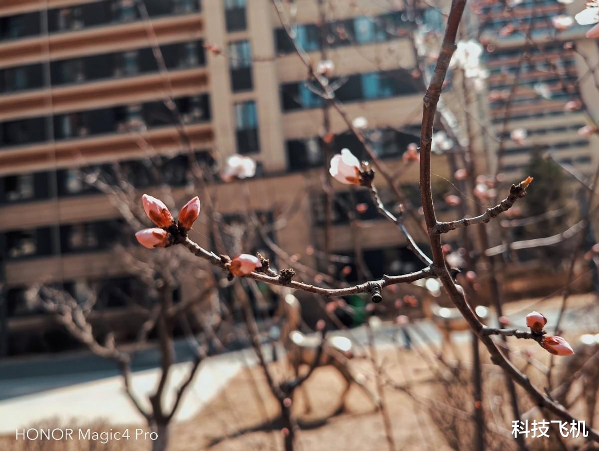 荣耀magic|安卓真旗舰来了，这机器比苹果香，荣耀Magic4 Pro全面评测