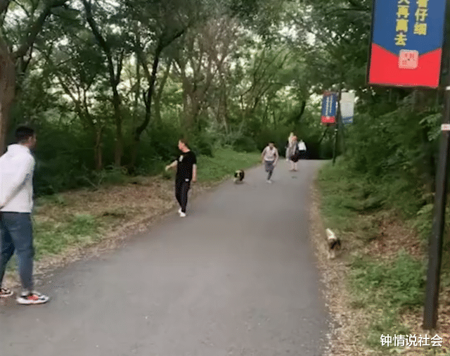 辽宁一男子跟朋友说能跑过狗,结果打脸了,网友:两驱跑不过四驱