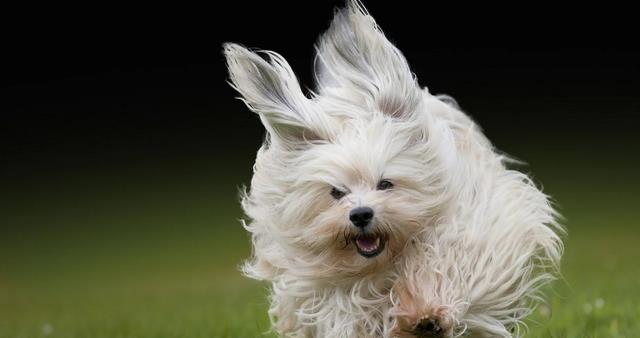 骨质疏松|当听到指甲划黑板的声音时就狂躁,为什么?原因大多数人都没想到