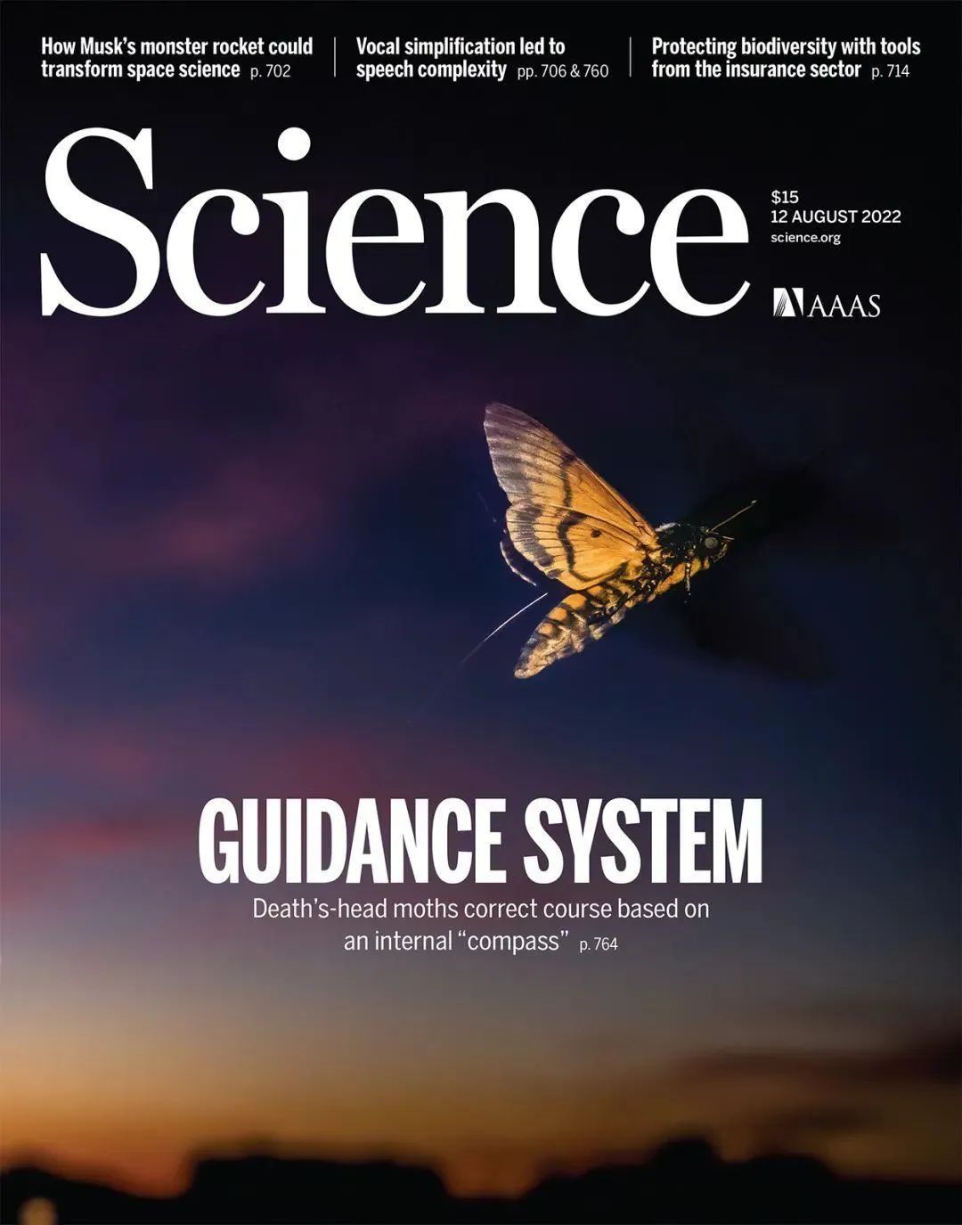 【科学强国】千里追飞蛾,科学家在飞蛾背上安装追踪器