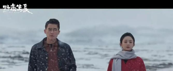 赵丽颖|从《幸福到万家》到待播的《野蛮生长》，谈赵丽颖戏路的转变