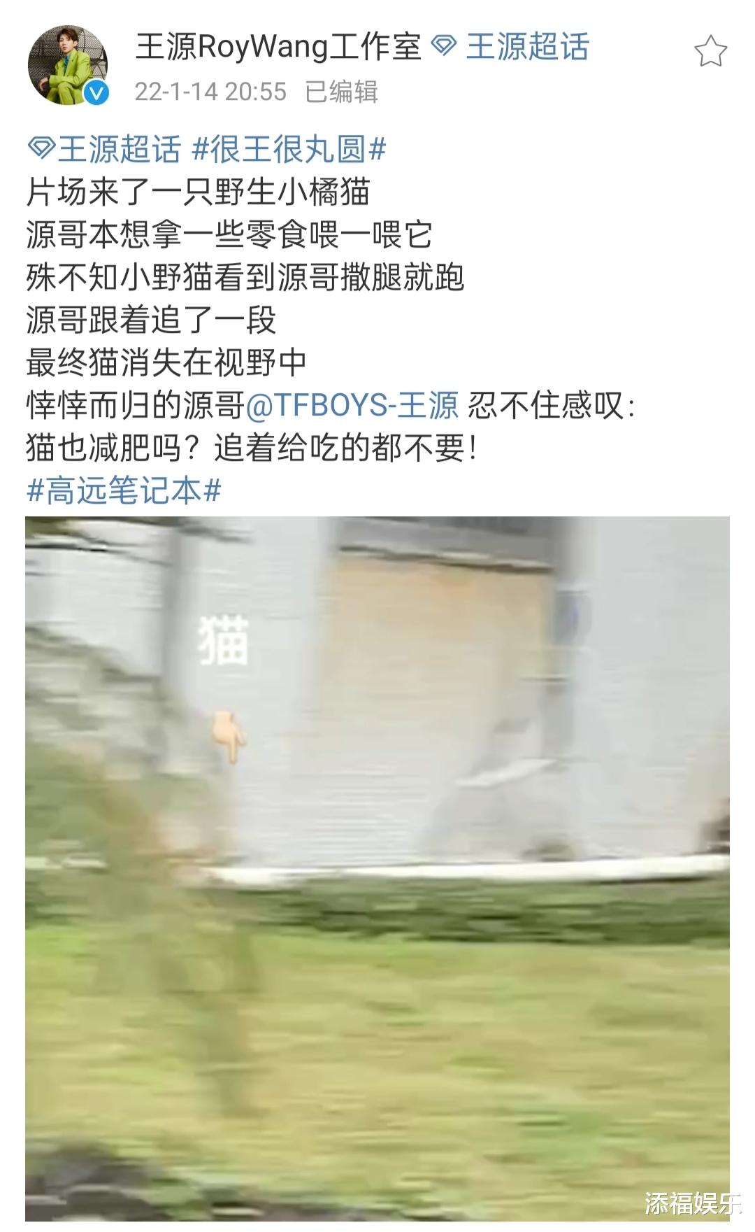 王源|王源剧组追猫,疑惑猫咪的减肥大业,但本尊又不出镜