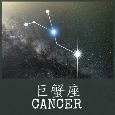 卓越|12星座一周运势—春节来临,“兔”飞猛进,财星高照的星座有你吗