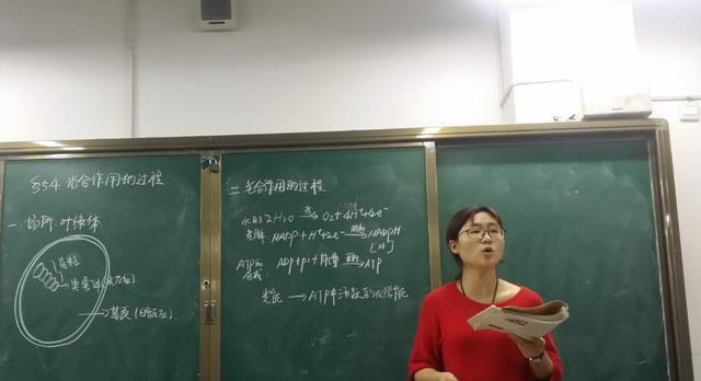 教师|教师绩效分配方案来了，校长领导人物占150%，老师表示心情复杂！
