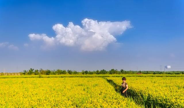 英国最伟大的科学家是牛顿，德国是爱因斯坦，那中国呢？