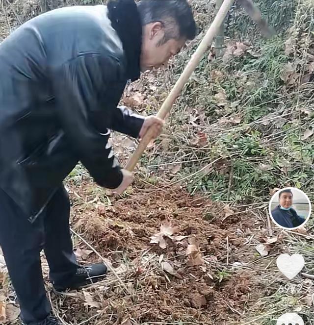 清明节|遗憾的清明节!许妈祭祖姚威不在身边,老杜和疫情要负主要责任