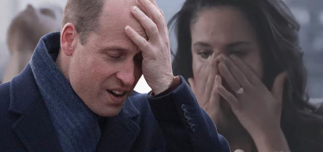 哈里王子|为什么温莎家族可能会将哈里和梅根的纪录片当成“宣战”？