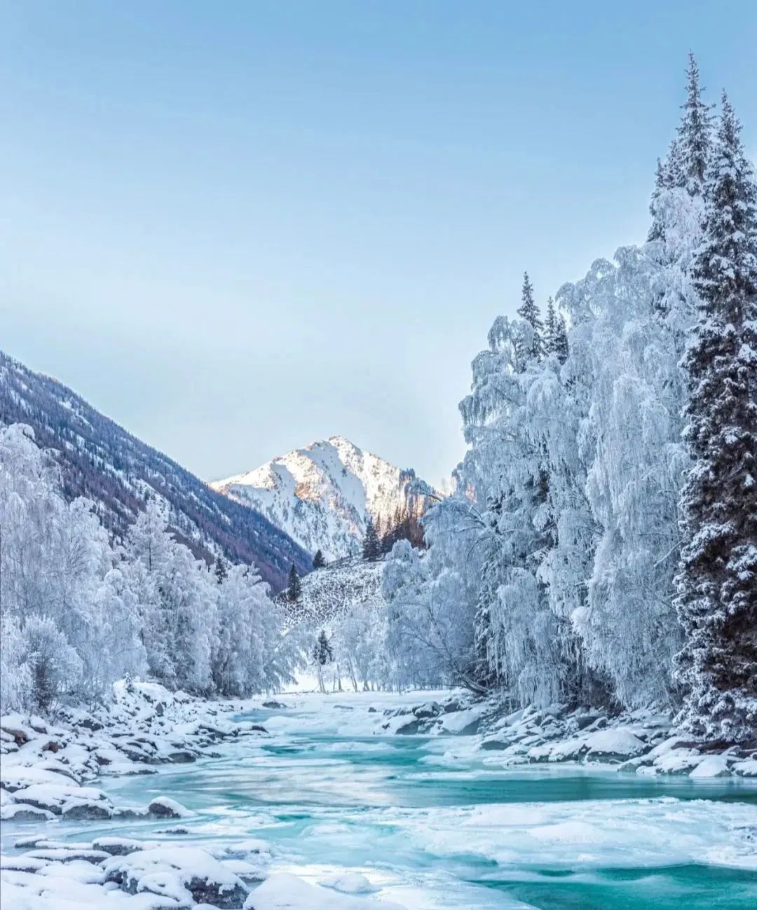 小红书|想和你再见一面,在新疆的冬天