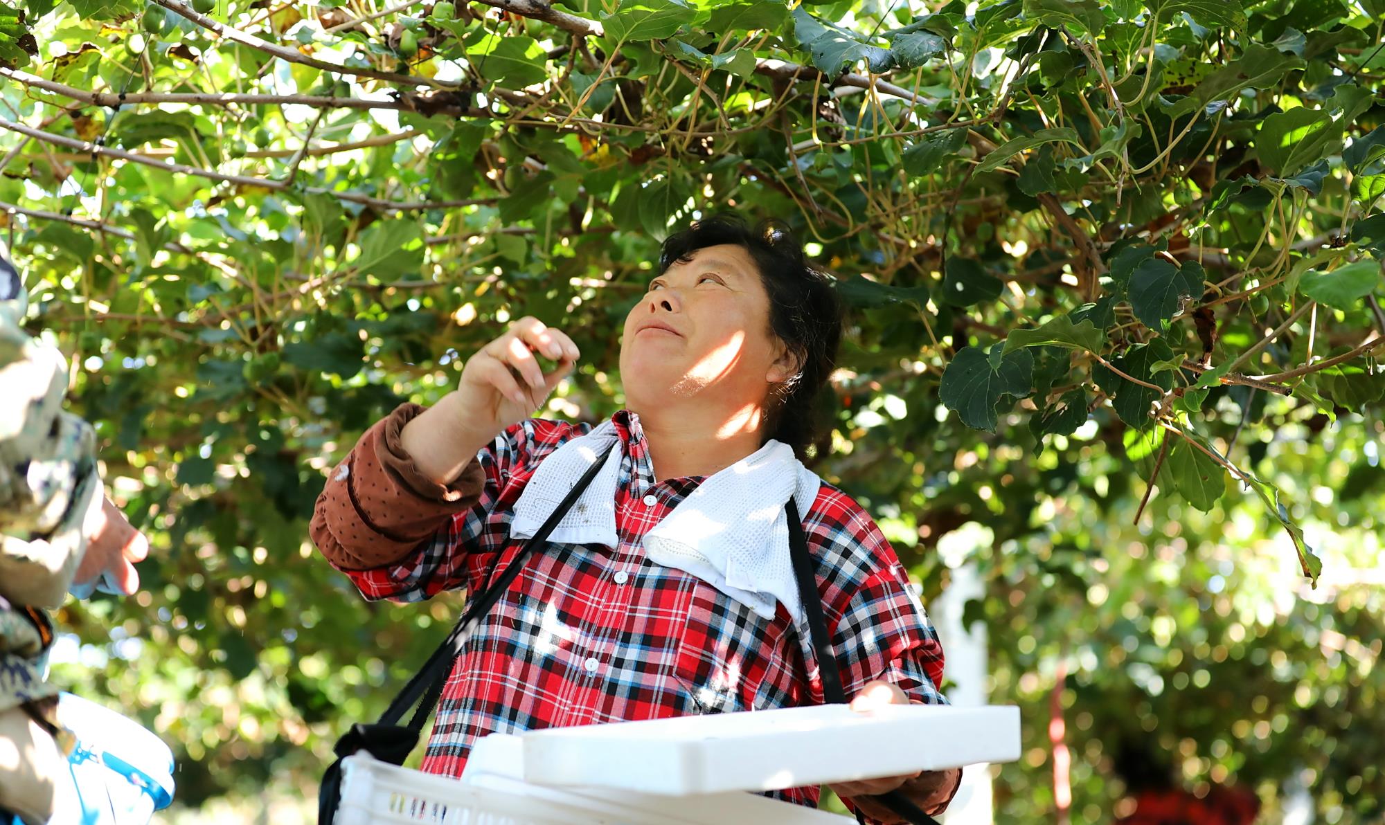 发型 年入20万的美发不干,回乡务农一赔再赔,46岁东北男子咋还坚持?