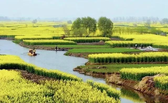 春晚|感谢春晚，从我做起！