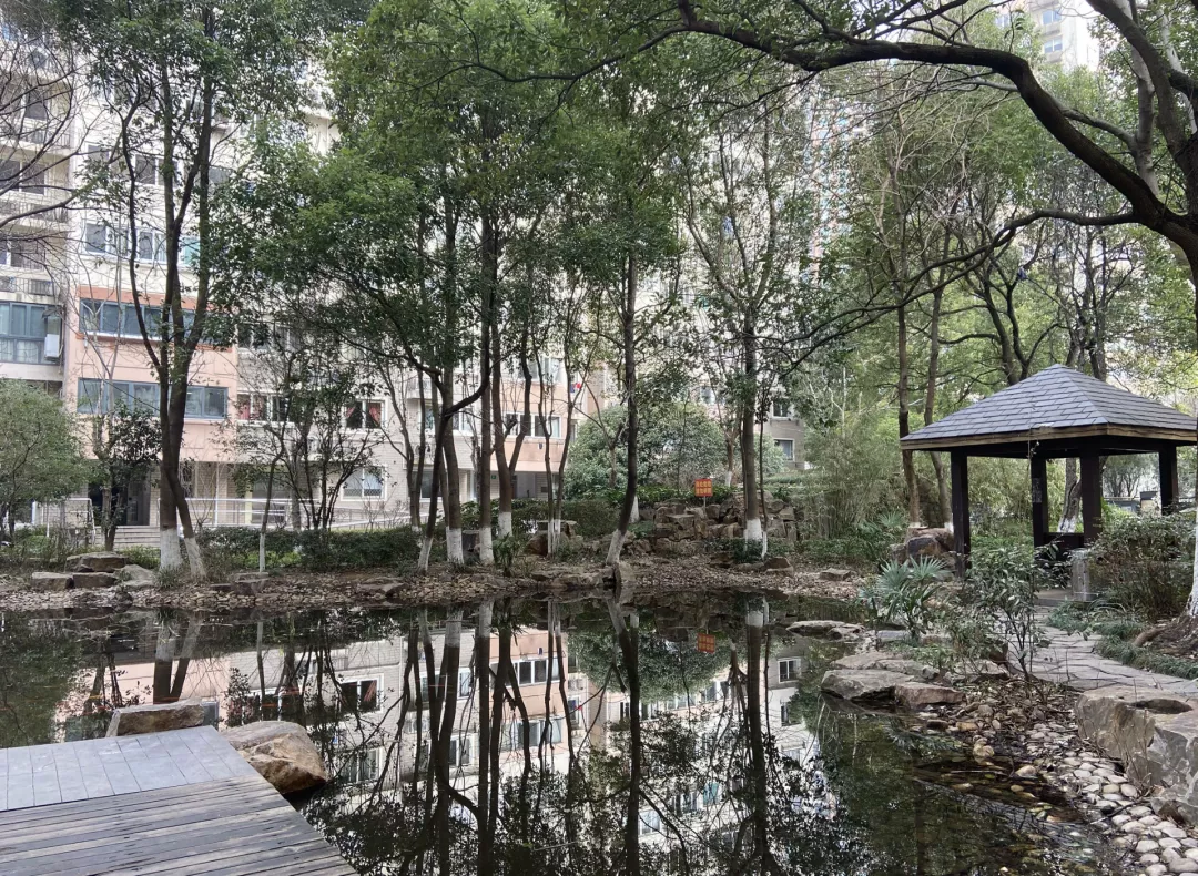 曹家渡|自住升学性价比之选 曹家渡7号线 对口一师附小 沪中新苑测评