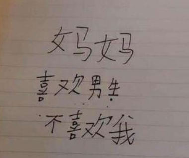 姐姐|“我不能忍了”，小学生“记仇本”走红，姐姐看后坐不住了