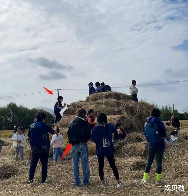 Angelababy|杨颖一个月2次被曝光陪伴小海绵，标准的好妈妈，网友：比杨幂强！