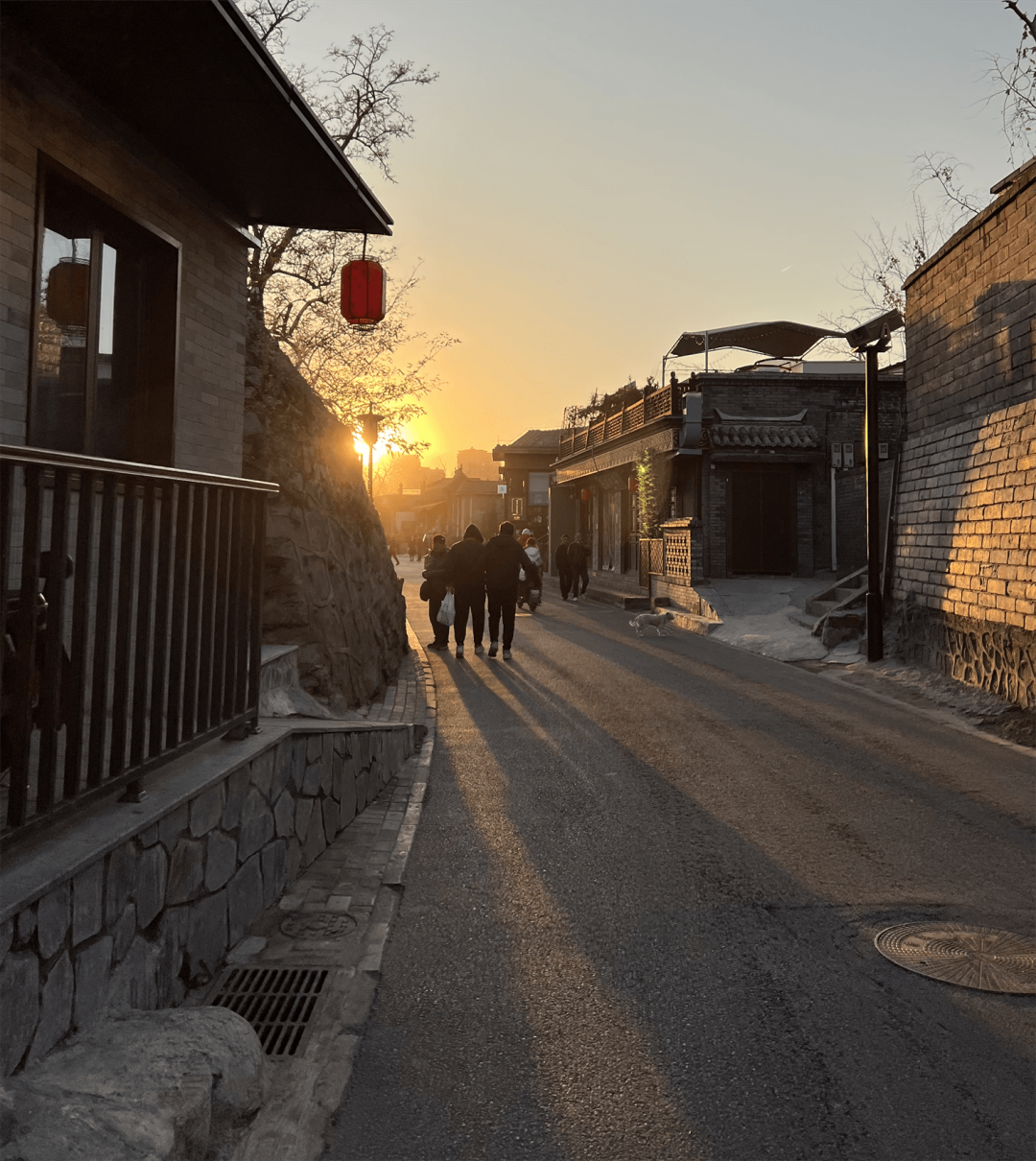 【一阳带你看世界】探访亚洲唯一建立在冰川遗迹上的自然博物馆
