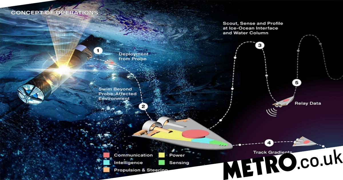 美国宇航局开发“游泳机器人”,寻找其他行星生命迹象