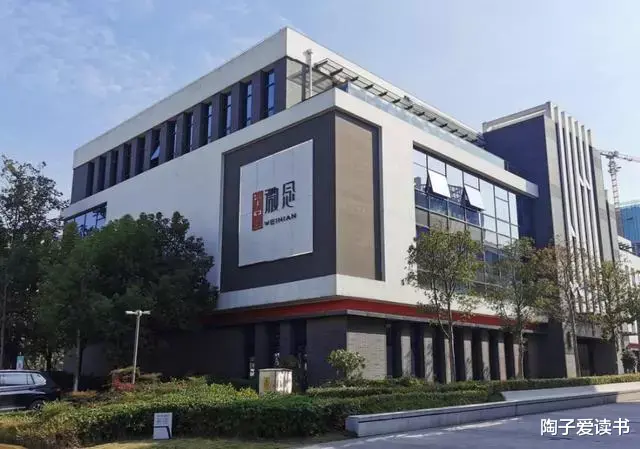 被“资本”捧红再丢弃？赚22亿仅得300万，“李子柒”毁了李子柒