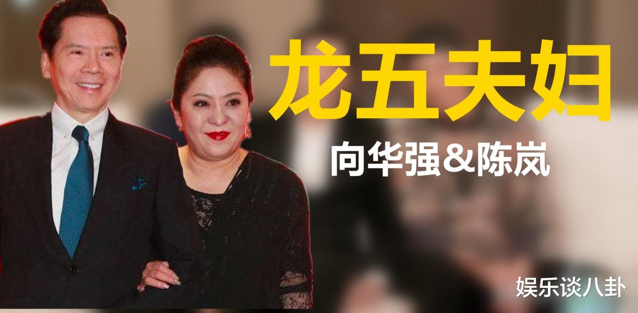 向华强|鲁豫问向华强，圈内明星你请不动谁？向华强提出名字后现场哗然