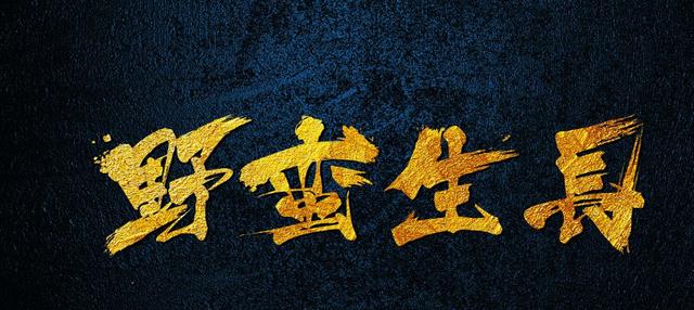 赵丽颖|赵丽颖又有新剧将至，化身职场女强人，男主被夸“男神级别”