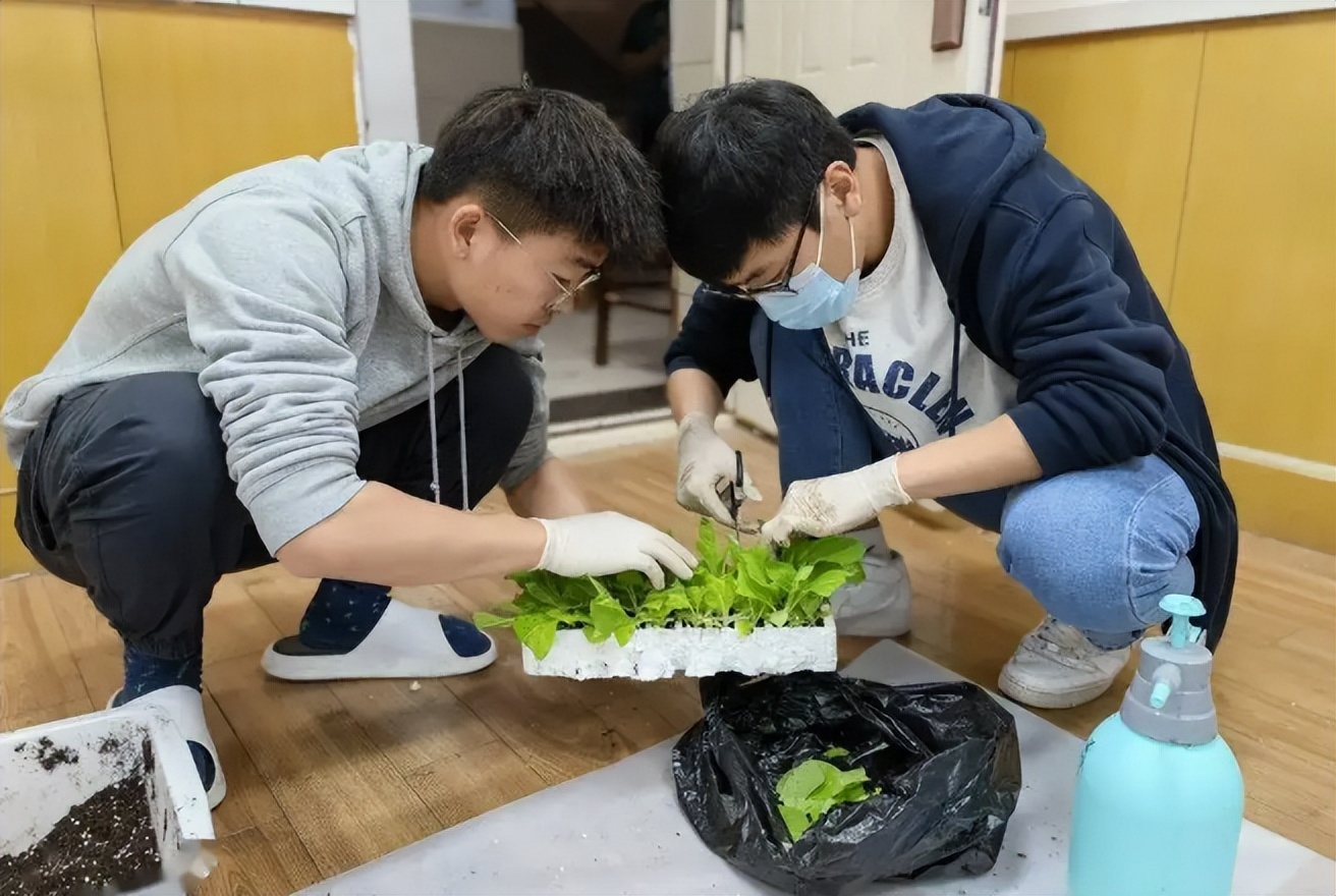 招聘|烟草局公开招聘正式职工，平均月薪7853元左右，多地有岗不限户籍
