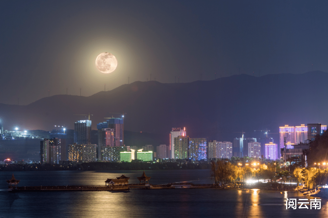 露营|大理季节限定景致：樱花、稻田、杜鹃，这是对每一位旅人的馈赠！