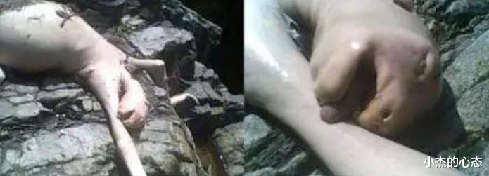 盘点世界那些神秘的不明生物：神秘的海底人、火柴人……