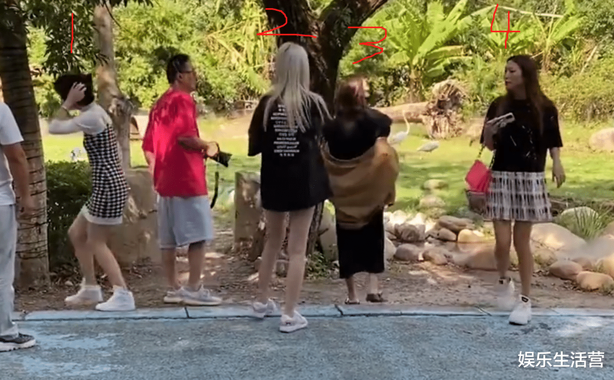 王思聪|王思聪带4位美女看猴,单膝跪地为慎婕闺蜜拍照,网友:地位不保