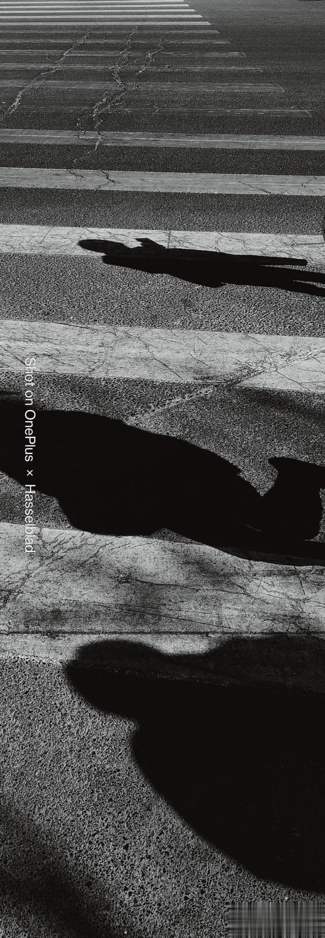 美团|三星Galaxy S22+&一加10 Pro拍摄对比：参数真不能代表一切