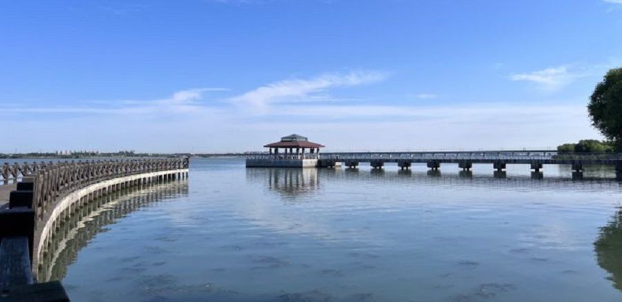 阳澄湖|初夏去阳澄湖游玩，六月黄快上市了，慵懒又惬意的周末旅行打卡地